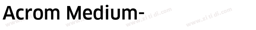 Acrom Medium字体转换